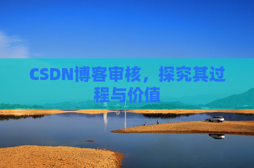 CSDN博客审核，探究其过程与价值